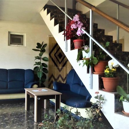 Vila Nico Costinesti Exterior foto