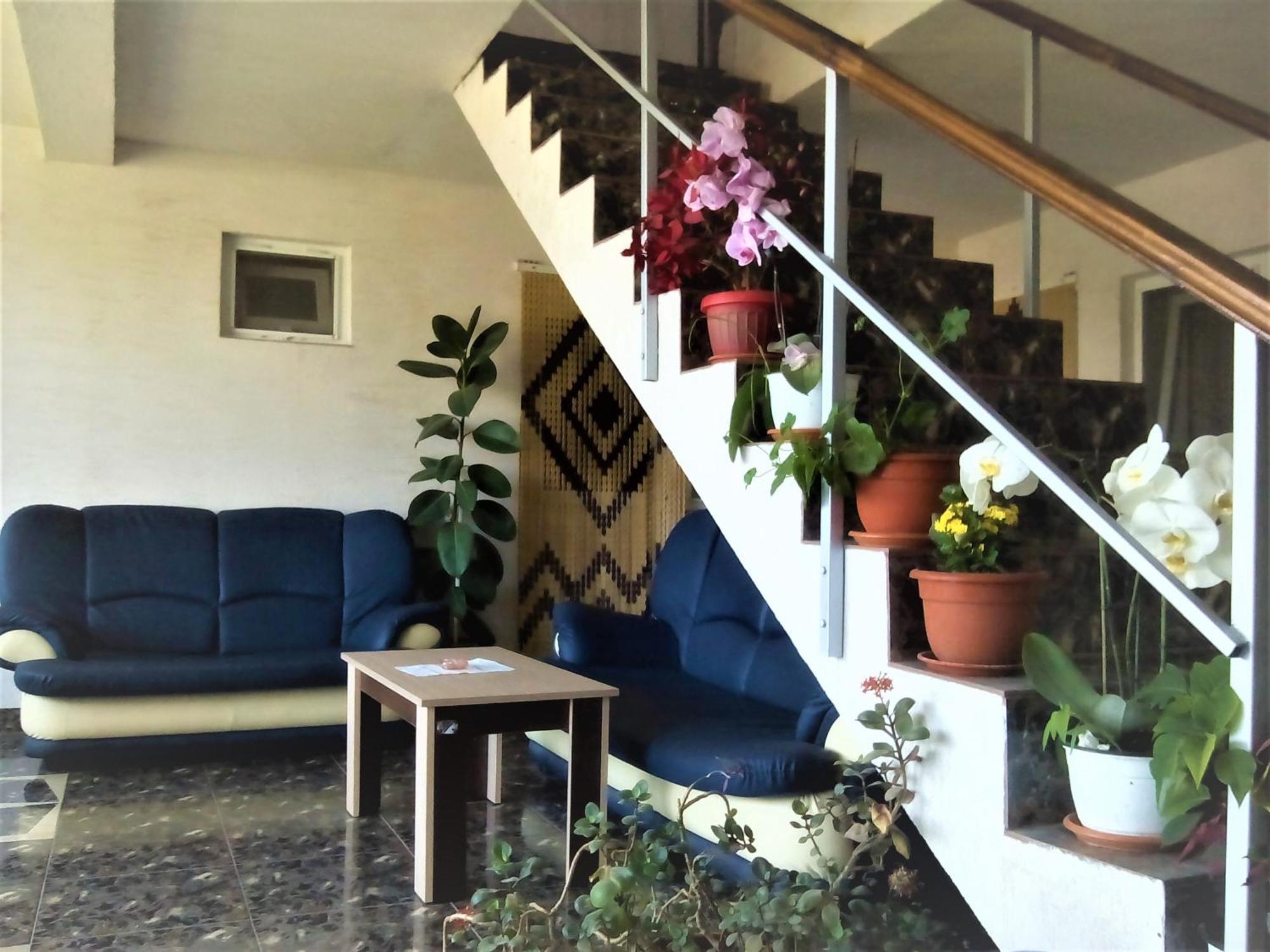 Vila Nico Costinesti Exterior foto